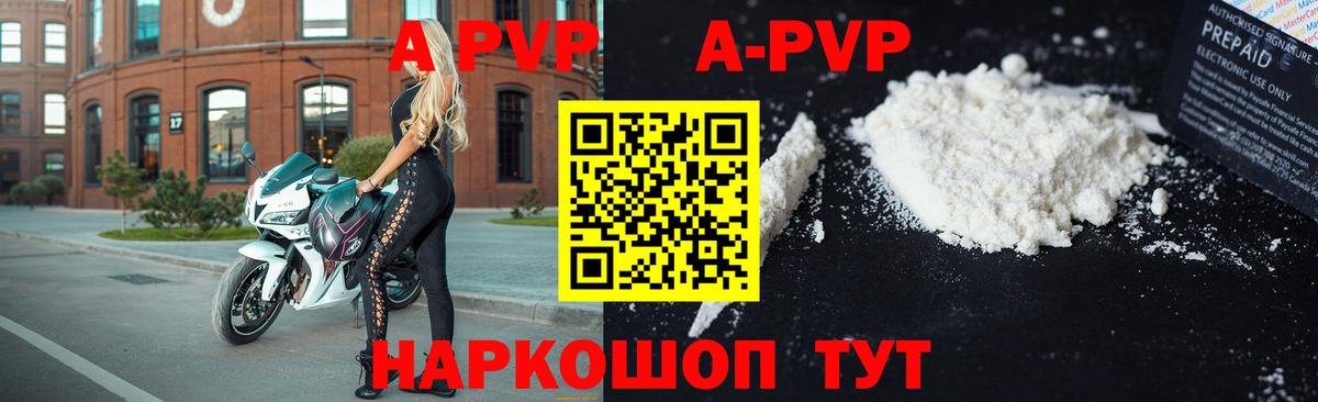 Гатчина  A-PVP  Вход с VPN  Альфа ПВП крисы CK  Alfa_PVP СК 