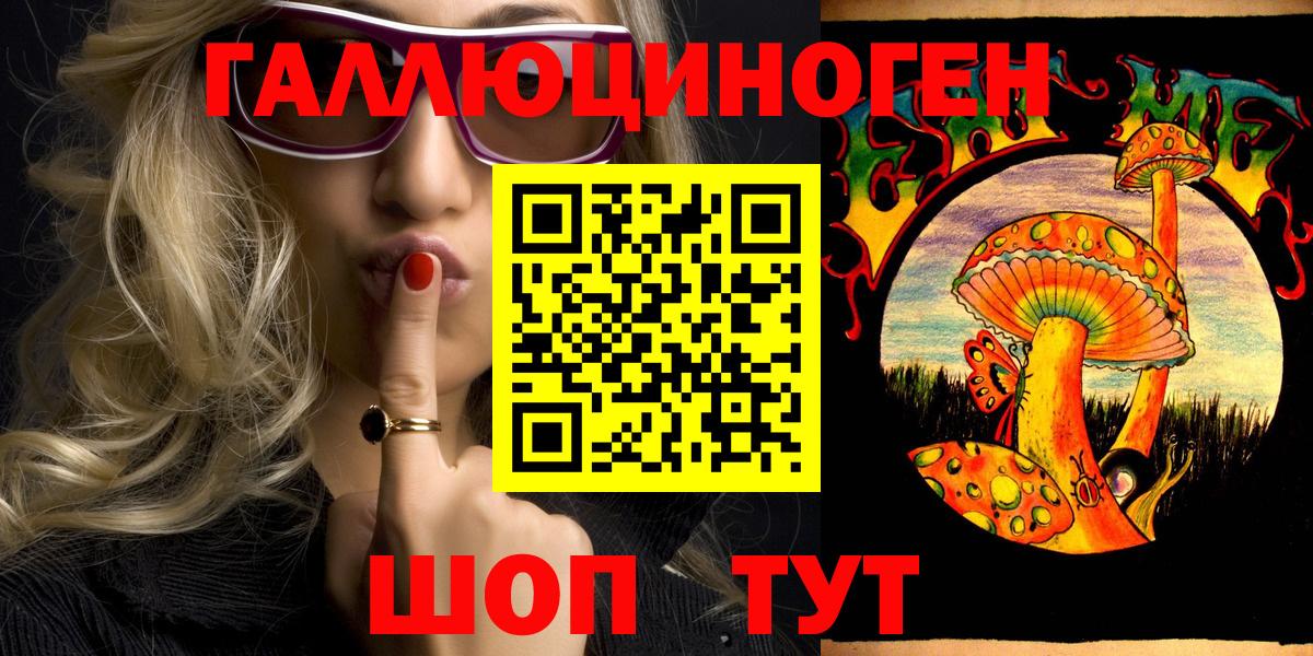 Псилоцибиновые грибы GOLDEN TEACHER  Вход с VPN  Гатчина 